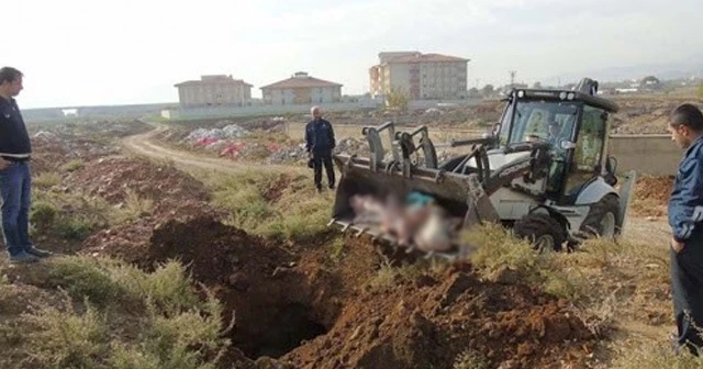 Mundar hayvanı satmak isterken yakalandı
