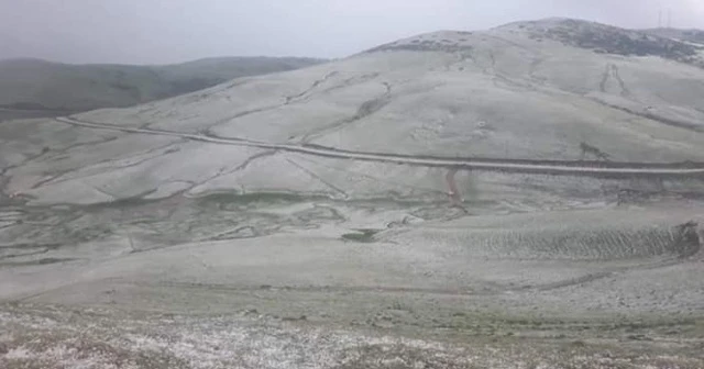 Ordu'da yaylalar beyaza büründü