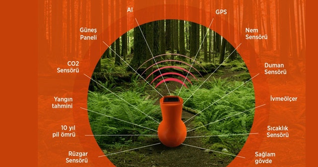 Orman yangınlarına karşı akıllı orman kapsülü geliştirildi