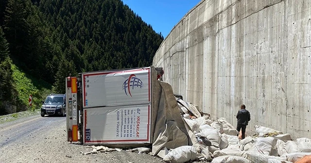 Rize'de tır devrildi