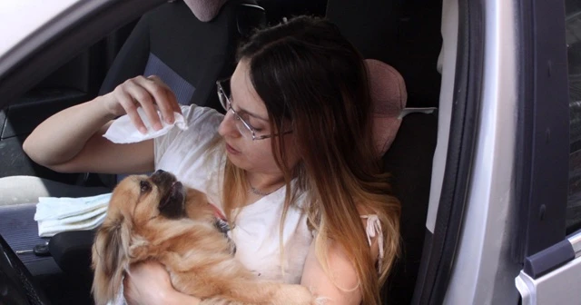 Sahibi tarafından arabada bırakılan Şanslı isimli köpek, duyarlı vatandaşlar sayesinde kurtuldu