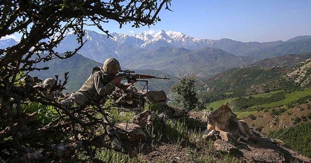 Şırnak ve Elazığ&#039;da 4 terörist etkisiz hale getirildi