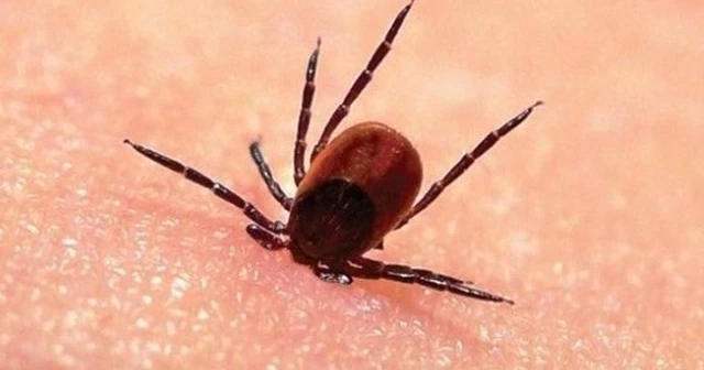 Sivas’ta KKKA’dan 6. ölüm