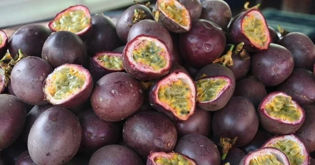 Tropikal meyve 'passiflora'nın üretim alanı genişliyor