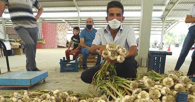 Yerli sarımsak çıktı, fiyatlar düştü