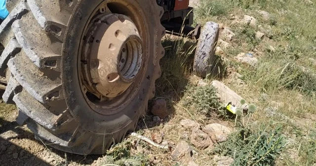 Yılanı ezmemek için kaza yaptı