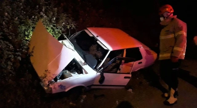 Zonguldak'ta otomobil yoldan çıktı