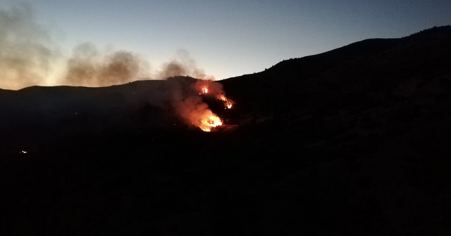 Adıyaman’da ikinci orman yangını