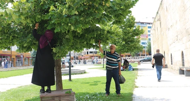 Aktarda 90 TL, Sivas'ın parklarında bedava