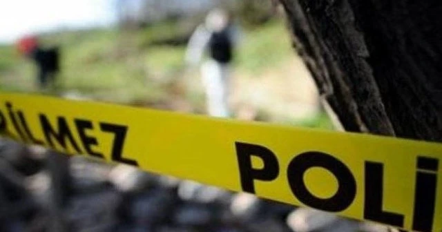 Arazi anlaşmazlığı kanlı bitti: Kardeşini tüfekle öldürdü