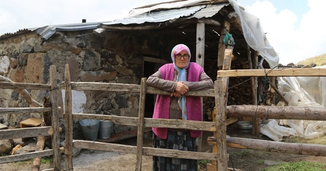 Artvin’de asırlık yaylacılık geleneği yaşatılıyor