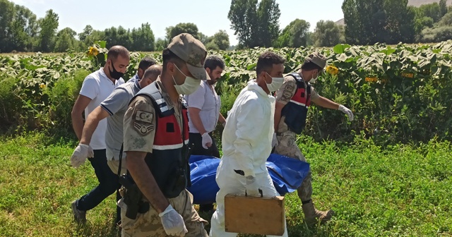 Ayçiçeği tarlasında cansız bedeni bulunan engelli tabanca ile vurulmuş