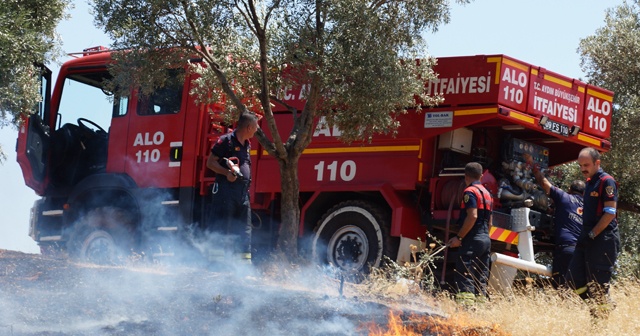 Aydın’da 4 dönüm zeytinlik alan yangında zarar gördü