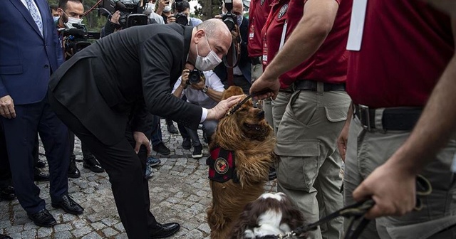 Bakan Soylu: Yakalamaların yüzde 46&#039;sı narkotik köpekleri marifetiyle gerçekleştirilmiştir