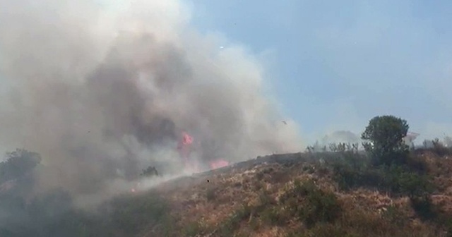 Beylikdüzü&#039;nde otluk alanda çıkan yangın mahalleliyi korkuttu