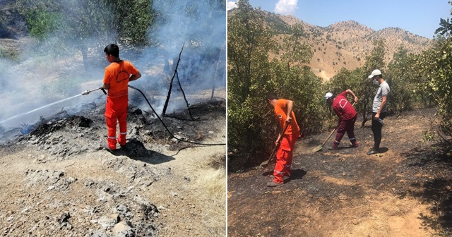 Bingöl’de orman yangını büyümeden söndürüldü