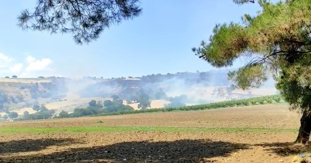 Çanakkale&#039;de orman yangını kontrol altına alındı