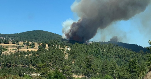 Çanakkale&#039;de orman yangını