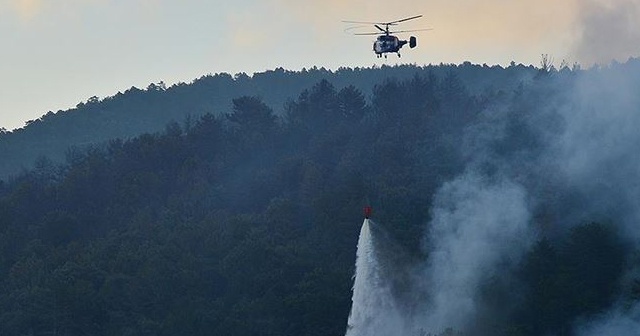 Çanakkale&#039;deki orman yangını kontrol altına alındı