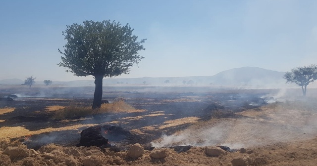 Denizli’de balya makinesinden çıkan yangın 30 dönüm araziyi küle çevirdi