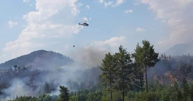 Denizli’de orman yangını 3 helikopterle kontrol altına alındı