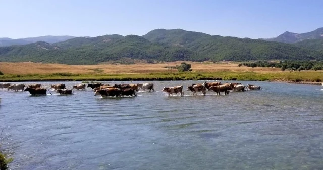 Doğu Anadolu’da hava sıcaklığı mevsim normallerinin üzerine çıktı