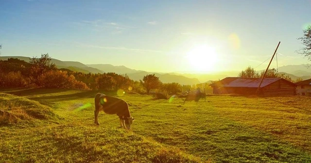 Doğu’da en yüksek sıcaklık Kemaliye’de ölçüldü