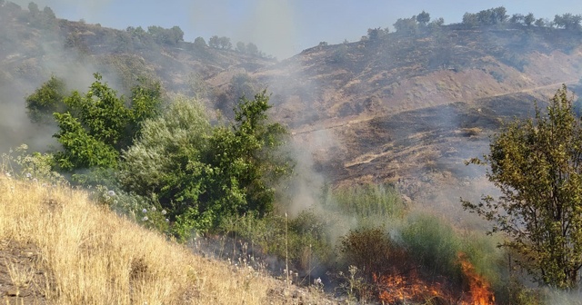 Elazığ’da 2 gün süren orman yangını söndürüldü