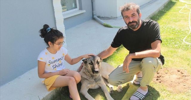 Emekli başçavuşun köpek sevgisi mesafe tanımadı