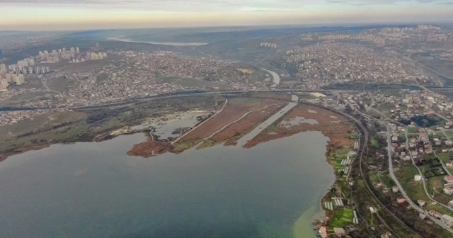 Eskiden kuş cenneti olan Küçükçekmece Gölü şimdi balık mezarı oldu
