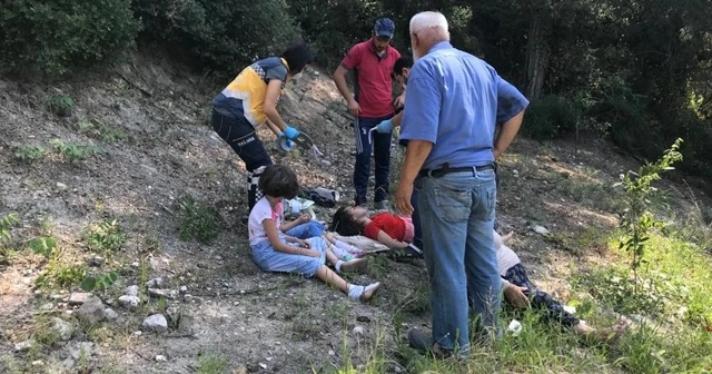Feride nine, 3 torunu ile birlikte uçuruma yuvarlandı