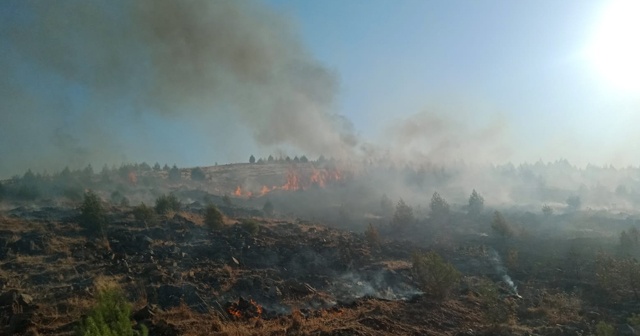 Gaziantep&#039;te orman yangınında 2 hektarlık alan zarar gördü