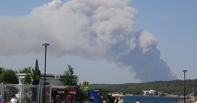 Gelibolu Yarımadası&#039;nda orman yangını çıktı