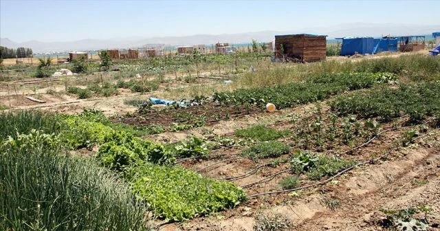 Gıda, tarım ve orman alanında düzenlemelere ilişkin teklif komisyonda kabul edildi