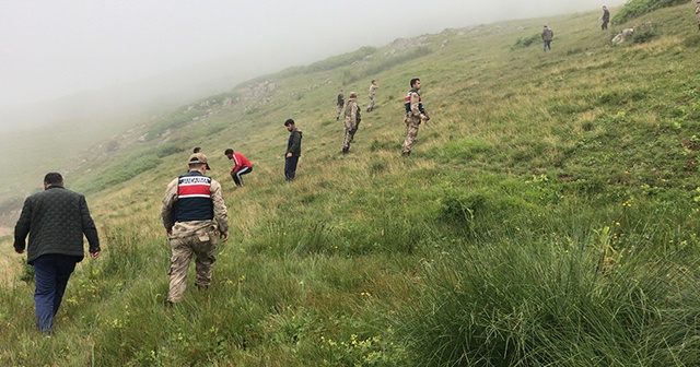 Giresun&#039;da yaylada kaybolan kız çocuğu aranmaya devam ediliyor