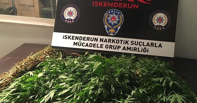 Hatay&#039;da uyuşturucu operasyonu