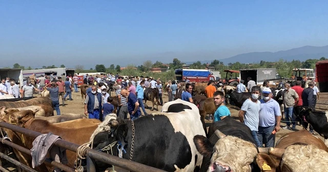 Hayvan pazarına gelen vatandaşlar sosyal mesafeye aldırış etmedi