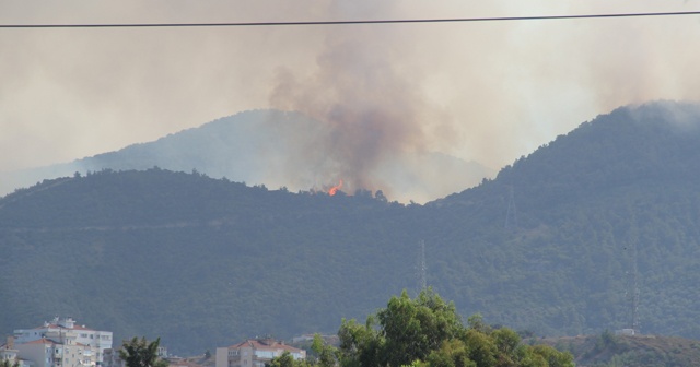 İzmir Balçova’daki orman yangını devam ediyor