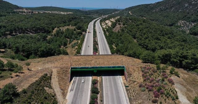 İzmir-Çeşme Otoyolu üzerindeki &#039;ekolojik köprünün&#039; yapımı tamamlandı