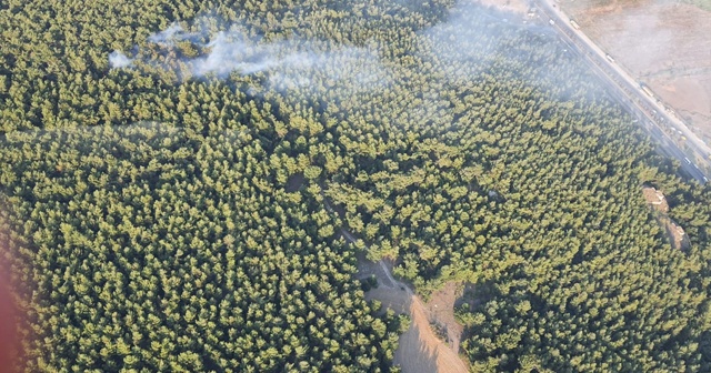 İzmir&#039;de korkutan orman yangını kontrol altında