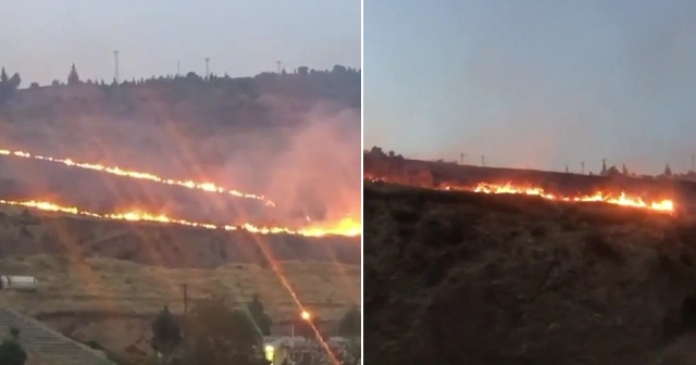 İzmir’de ormanlık alanda yangın