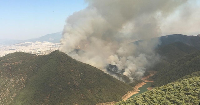 İzmir&#039;in Balçova ilçesinde orman yangını çıktı