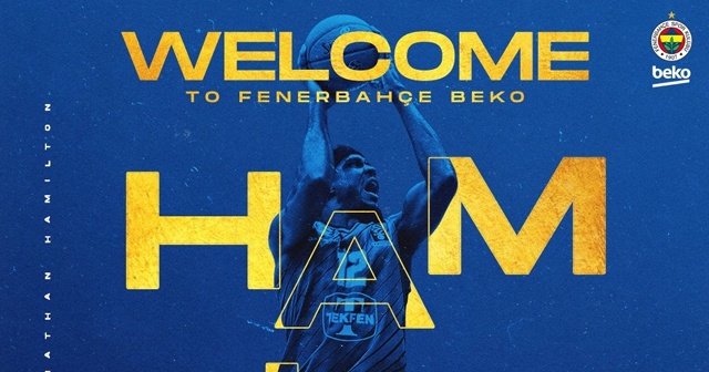 Johnathan Hamilton, Fenerbahçe&#039;de