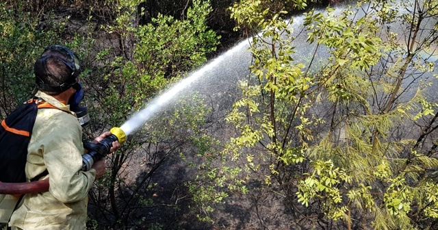 Karabük’te çıkan örtü yangını korkuttu