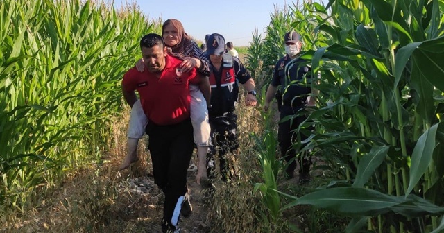 Kayıp yaşlı kadını mısır tarlasında ‘Kahve’ buldu