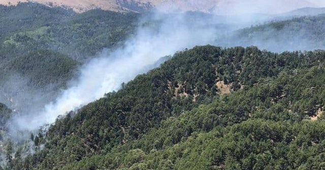 Kızıldağ’daki orman yangını kontrol altına alındı