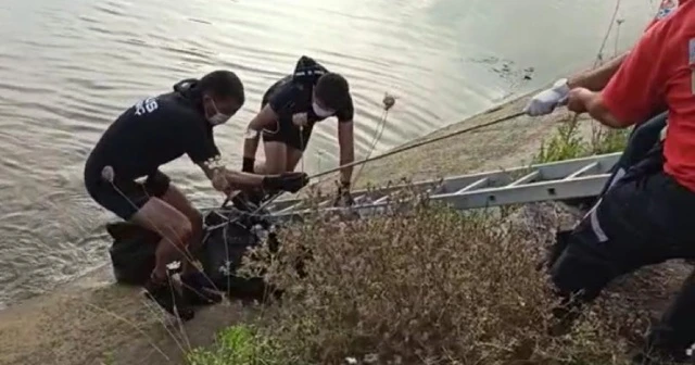 Köpeği kurtarmak isterken sulama kanalında kayboldu