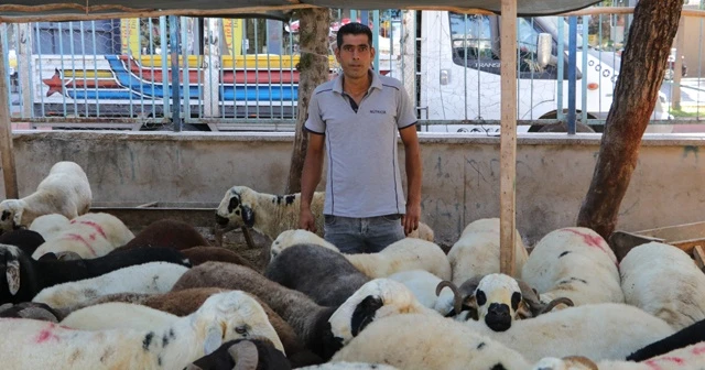 Korona virüs kurbanlık satışlarını etkiledi