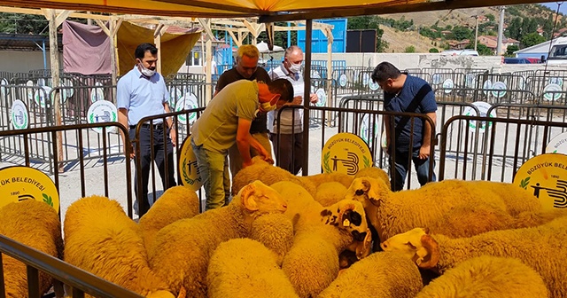 Kurban satış ve kesim yerleri denetlendi