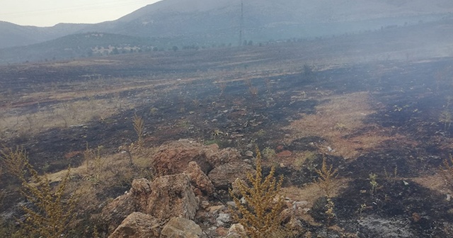 Malatya&#039;da çıkan yangında 10 hektar ormanlık alan zarar gördü